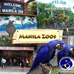 Manila Zoos